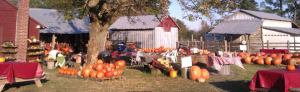 Fisher Farms Home