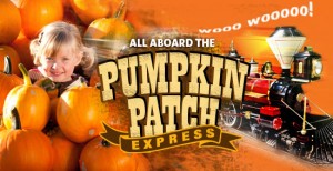 pumpkinpatch 550