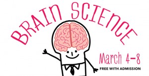 8355Brain Science 550 2
