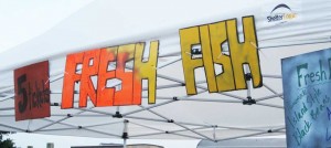 FreshCatch6.21.14