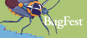 BugFest 2014