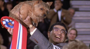 KingsDogShow