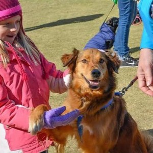 Saving Grace Walk